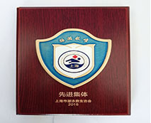 2016年度諾寶中心游泳館救生組先進(jìn)集體