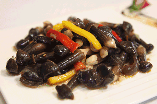 53d554f5b153d28af7a11c0d8aaa944c.gif 53d554f5b153d28af7a11c0d8aaa944c.gif