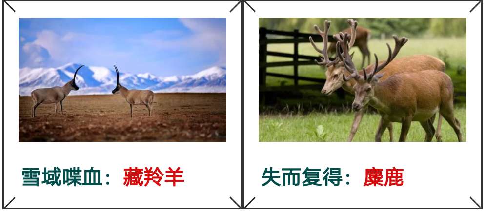 56f2302b762e6c52272cfe4a2ba353fc.jpg 56f2302b762e6c52272cfe4a2ba353fc.jpg